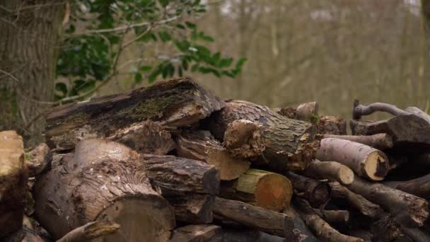 Stapel houtsnedes in de boomgaard — Stockvideo