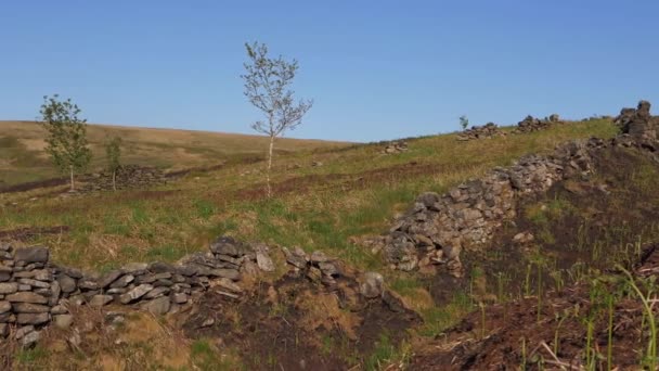 Paisagem de Yorkshire campo com paredes de pedra seca — Vídeo de Stock