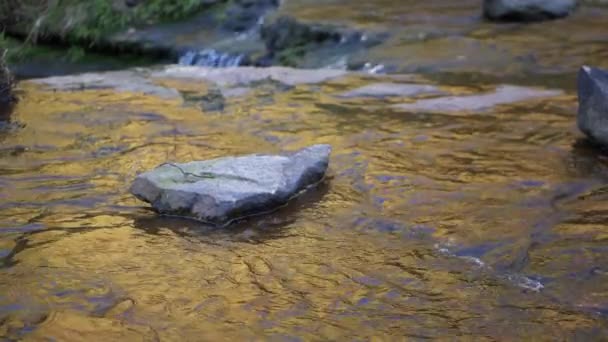 Потік питної води з камінням і галькою — стокове відео