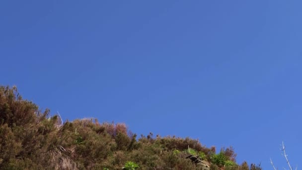 Формування скелястої місцевості на тлі блакитного неба — стокове відео