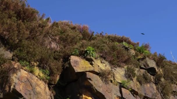 Формування скелястої місцевості на тлі блакитного неба — стокове відео
