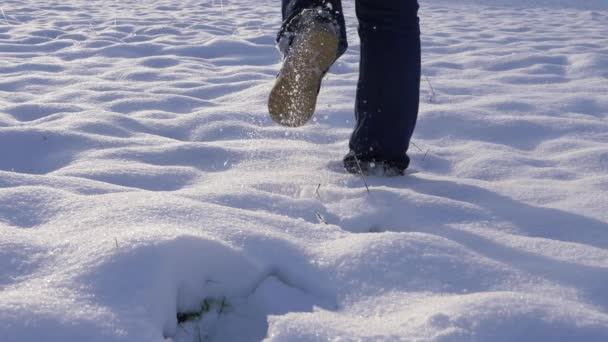 Pies caminando a través de nieve fresca en el prado — Vídeo de stock