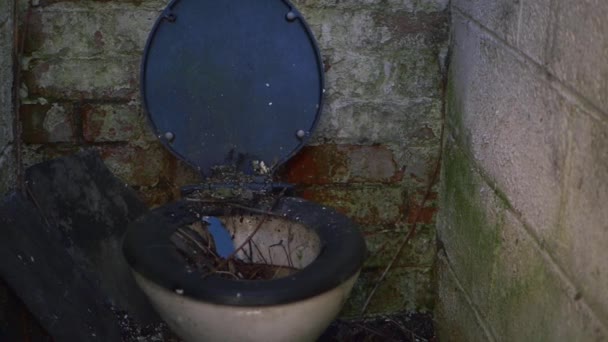 Dirty broken toilet in derelict building — Stock Video