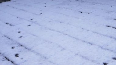 Kışın karla kaplı bir evin çatısındaki hayvan ayak izleri.