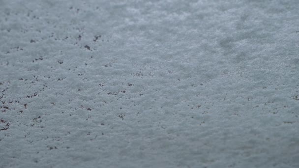 Вітрове склоочисник витирає сніг на вітровому склі — стокове відео