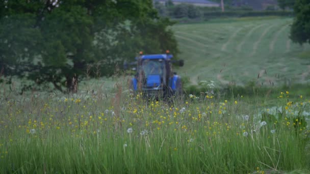 Nyári rét traktorral távolságban — Stock videók
