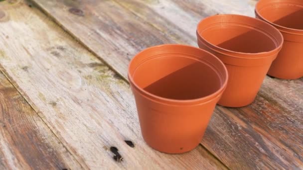 Rangée de pots de plantes dans un jardin — Video