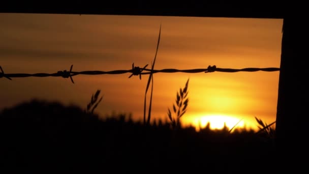 Solnedgång bakgrund och taggtråd staket siluett — Stockvideo