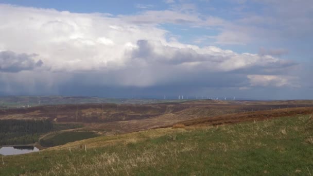 Yorkshire hedar mot blå himmel och moln — Stockvideo