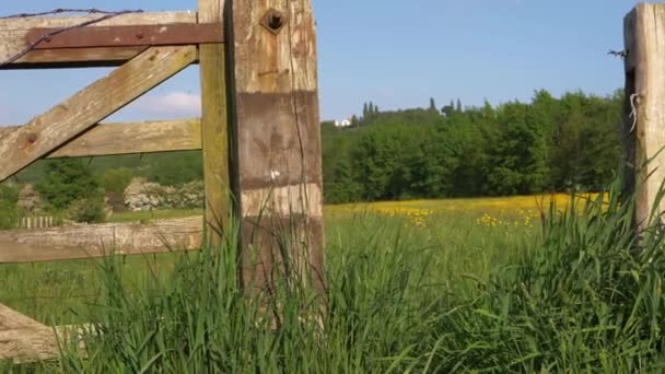 Summer meadow through view of rustic wooden gate — Stockvideo