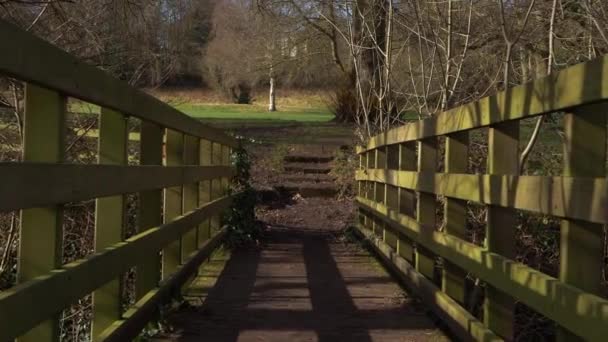 Rickety wooden bridge in countryside scene — Vídeos de Stock