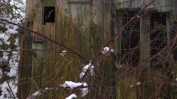 Creeply old rickety abandoned wooden shed — Stockvideo