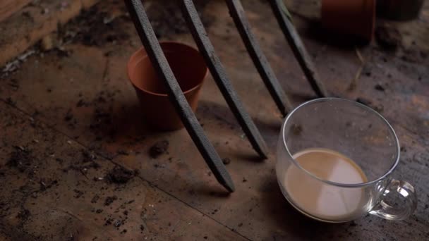 Mug of hot tea in a wooden garden shed — Vídeos de Stock