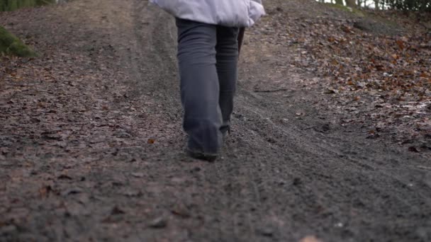 Wanderer auf matschigem Waldweg mit Stock unterwegs — Stockvideo