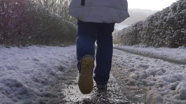 Caminhante no caminho do campo após a queda de neve no inverno — Vídeo de Stock