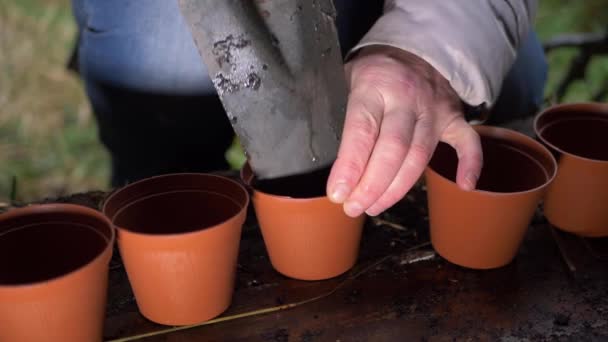 Jardinero prepara macetas con tierra en cobertizo de jardín — Vídeos de Stock