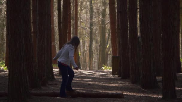 Frau balanciert mit Spaß auf umgestürztem Baumstamm im Kiefernwald — Stockvideo