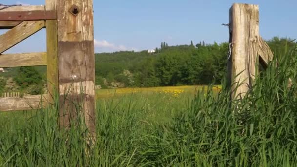 Prado de verano con puerta de madera rústica — Vídeo de stock