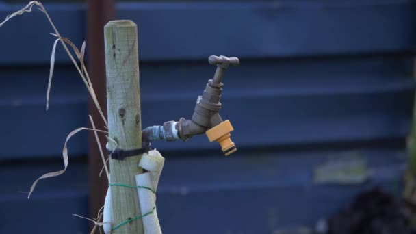 Rickety outside faucet tap in a garden — Stock Video