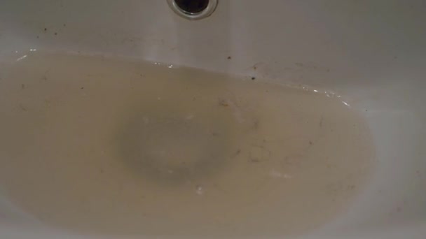 Agua sucia en un lavabo del baño — Vídeos de Stock