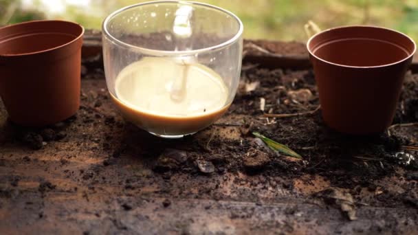 Mugg varmt te i ett trädgårdsskjul av trä med krukor — Stockvideo