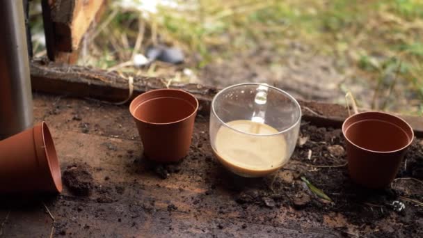 Becher mit heißem Tee in einem hölzernen Gartenhaus mit Pflanztöpfen — Stockvideo