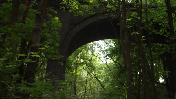 Ponte de viaduto abandonada numa floresta — Vídeo de Stock