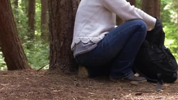 Caminante descansa en un bosque de pinos con mochila — Vídeos de Stock