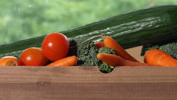 Caja de verduras frescas de jardín ecológico — Vídeos de Stock