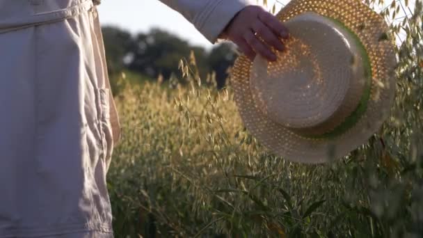 Woman with straw hat in field of oats — Stock Video