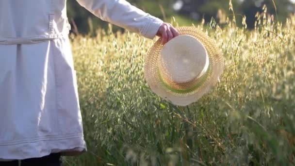 Женщина в соломенной шляпе в поле из овса — стоковое видео