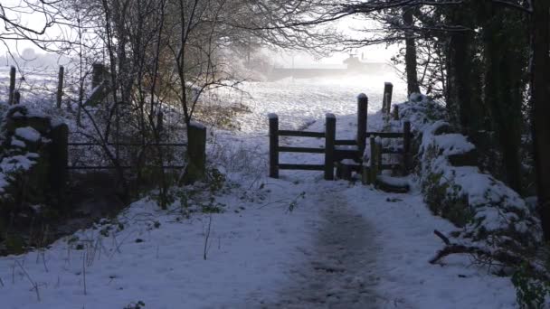 Stile σε αγροτικές εκτάσεις υπαίθρου το χειμώνα μετά από χιονόπτωση — Αρχείο Βίντεο