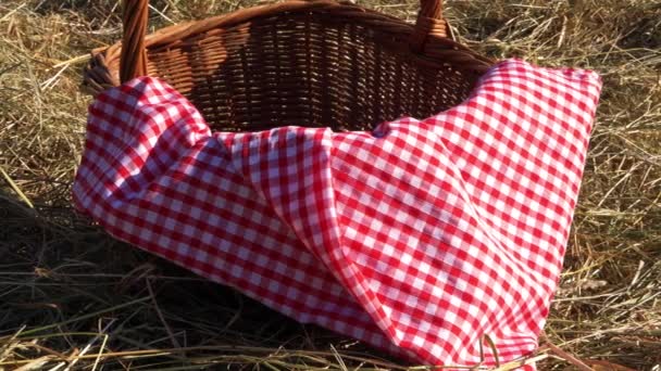 农村的野餐篮 — 图库视频影像