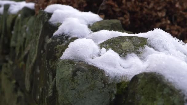 눈 과 얼음으로 덮인 오래 된 요크셔 의건 조 한 석조 벽 — 비디오