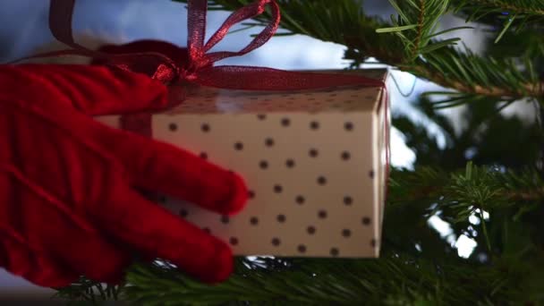 Руки розміщують подарунок на ялинку — стокове відео