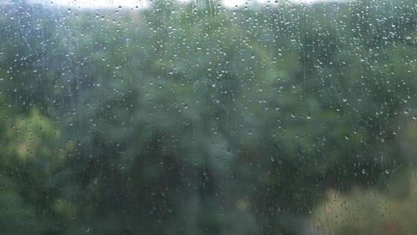 Rain falling on a window with trees in background — Stock Video