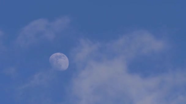 El lapso de tiempo de la luna escalando a través de nubes animación — Vídeos de Stock