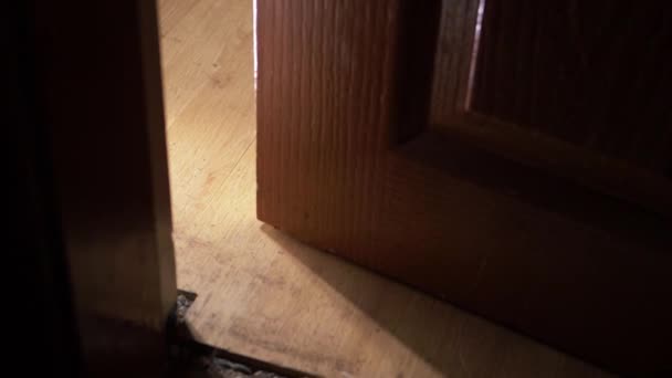 Wooden door slowly opening into room — Stock video