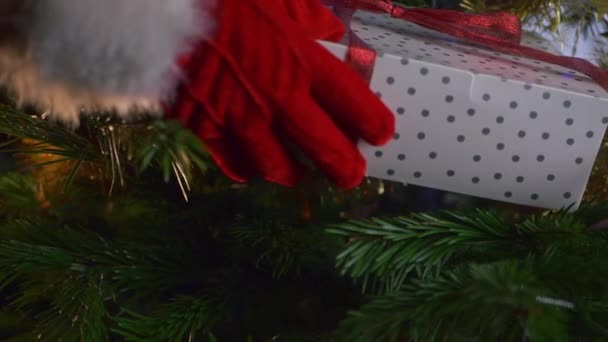 Hands placing gift under Christmas tree — Video