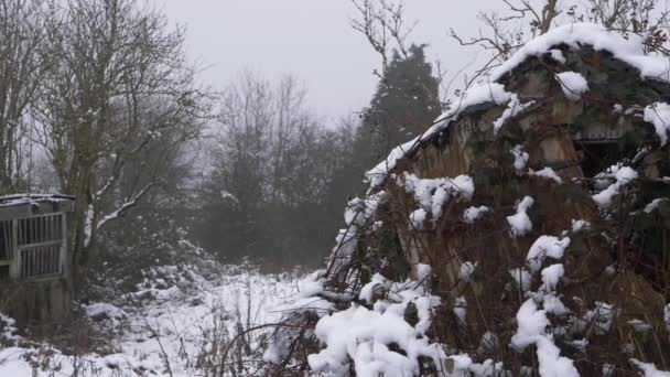 Broken rickety collapsed hangar en bois dans la scène d'hiver après les chutes de neige — Video