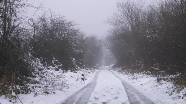 Verlaten weg na sneeuwval in de winter — Stockvideo