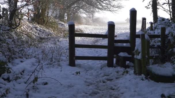 Stile σε αγροτικές εκτάσεις υπαίθρου το χειμώνα μετά από χιονόπτωση — Αρχείο Βίντεο