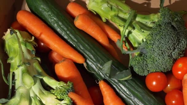 Свежие органические овощи — стоковое видео