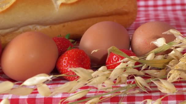 Baguette et aliments frais sur fond de gingham rouge — Video