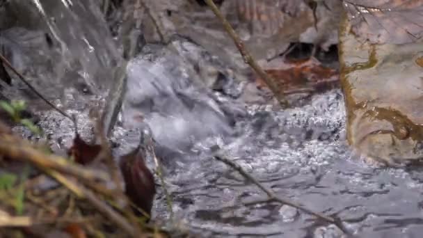 Strömmen av vatten som bubblar över stenar — Stockvideo