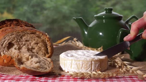 Servírování sýra Camembert s celozrnným chlebem — Stock video