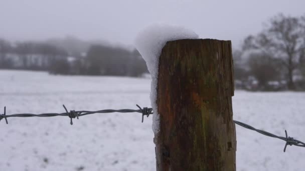 Cerca de poste cubierto de nieve en el campo rural de invierno — Vídeos de Stock