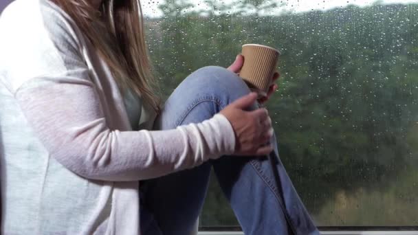 Kijken naar een regenachtige dag door het zicht van een raam — Stockvideo