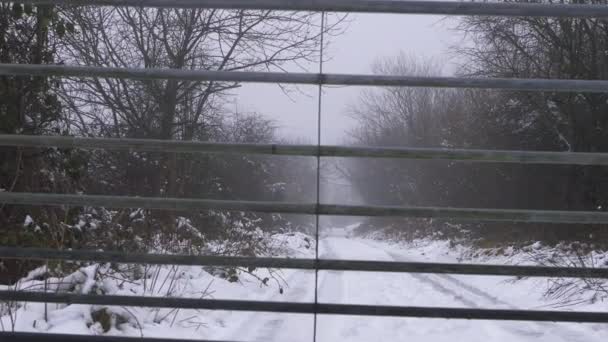 Verlaten weg na sneeuwval in de winter door het zicht van de poort — Stockvideo
