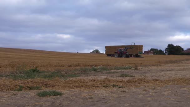 Трактор и тюки сена после сбора урожая — стоковое видео